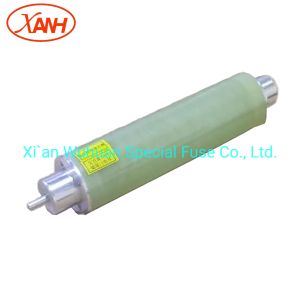 Oil Immersed Transformer Bayonet Fuse 23 Kv