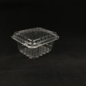 PET Plastic Packaging Boxes Clamshell Plastic Containers Freshness Visible