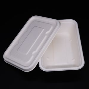 Biodegradable Sugarcane Bagasse Disposable Takeaway Food Tray with Lid