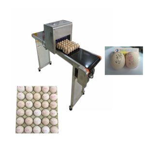 High Performance Egg Inkjet Marking Machine With Unlimited Printing Length