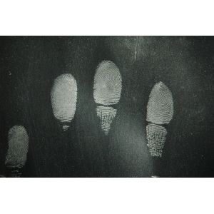 C123 Glod/silver spherical fingerprint powder