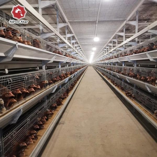Buy Automatic Egg Layer Chicken Farm Hens Cage UAE Poultry Equipment H Type at wholesale prices