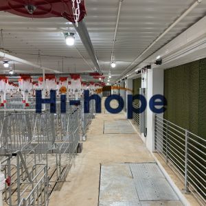 China Complete Pig Farm Design Pigger Solutions With Complete Equipment on sale China Complete Pig Farm Design Pigger Solutions With Complete Equipment on sale