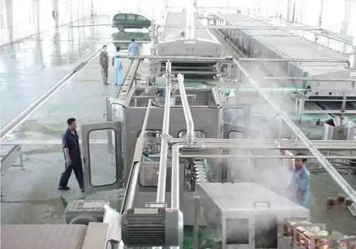 Complete Carrot Processing Line Customized Carrot/Ginger/Beet Production Plant