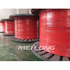 10000Psi Encapsulated Control Line Duplex 2507 FEP