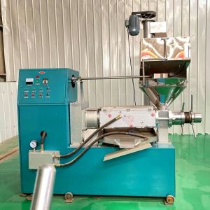 High Efficiency Automatic Small Screw Oil Press Machine 125 KG