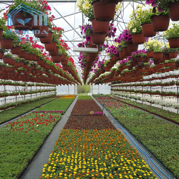 Buy Large Commercial Tunnel Greenhouse Agricultural 150 Micron Covering Material at wholesale prices