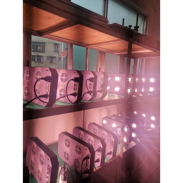 Greenhouse LED Plant Grow Light 300W Full Spectrum With Enhanced UV