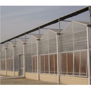 Super Strong Resistance Polycarbonate Greenhouse Full Set for Commercial