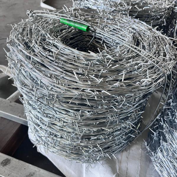 Buy 1.6mm 500m 25kgs/Roll Galvanized Barbed Wire Hot Dipped at wholesale prices