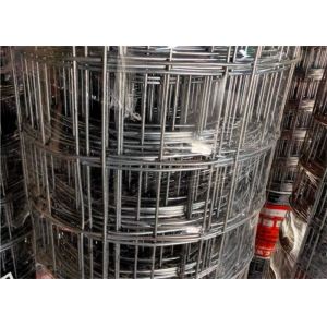 50 X 50mm Heavy Duty Welded Wire Mesh Rolls Hot Dipped Galvanised Mesh Fencing