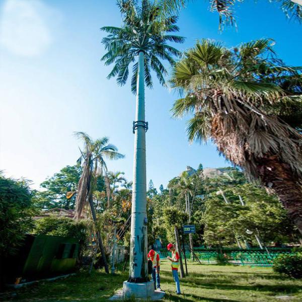 Buy Galvanized Camouflage Tower Telecommunication Artificial Trees at wholesale prices