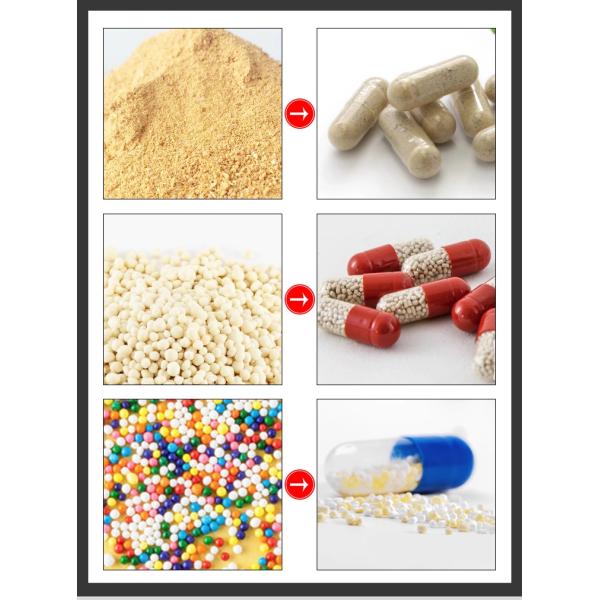 Hard Gelatin Capsule Filling Machine Auto Capsule Filler