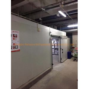 2m*2m Mini Portable Cold Storage Chiller Rooms with Small Size and Air Cooling