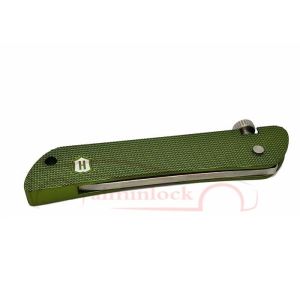 Locksmith Tools Haoshi Foldable 7 in 1 Lock Picking Set Locksmith Tools (Green）