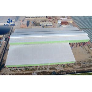 Steel Structural Fabrication Construction Q355B Steel Structure Plant with Crane