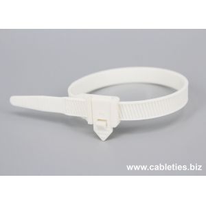 DEMOELE 9mm width Reusable cable tie with buckle
