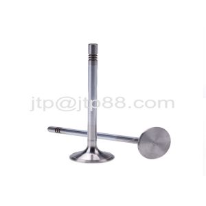 Z22 Z24 Intake Valve Exhaust Valve For NISSAN 13201-N8501 13202-N8500