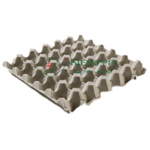 Pulp Molded 600m2 Paper Egg Tray Manufacturing Machine