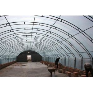 Film Cover Single Layer Agricultural Greenhouse for Sustainable Farming