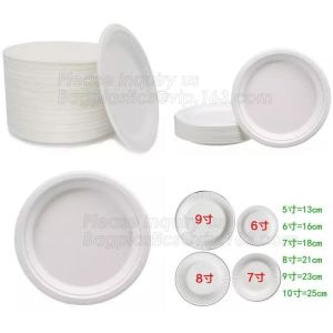 100% Biodegradable and compostable sugarcane pulp packaging disposable paper