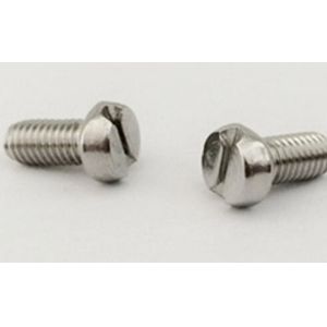 Cheese Slotted Head Self Tapping Screws Stainless Steel Machine Screws