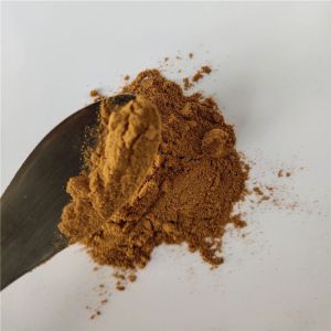 Chinese Herbal Saussurea Involucrata Extract/Snow Lotus Extract