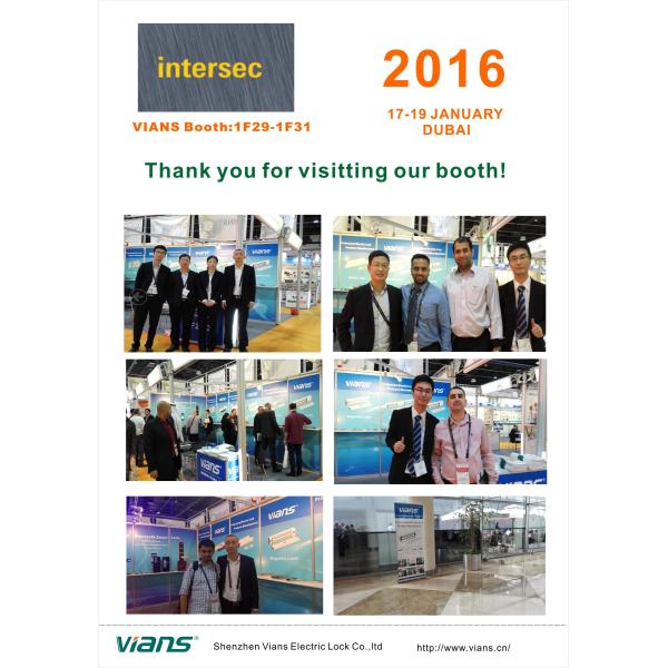 VIANS 2016DUBAI INTERSEC.jpg