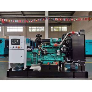 250kw Silent Diesel Generator with Cummins and 100% Pure Copper Brushless