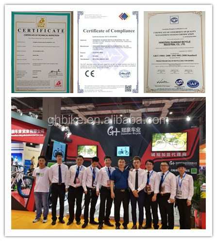 20 Inch 48V 500W 750W 1000W Electric Folding Bike with Fat Tire Max Speed 30-50Km/h