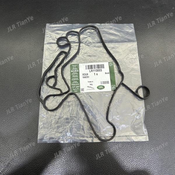 range rover Automotive Sealing Gasket 4.4 V8 Diesel Oil Cooler Seal Gasket Lr022903 Lr113003 Lr077242 Lr113004