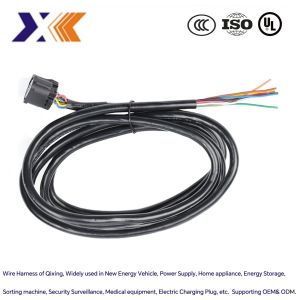 Complete Electric Automotive Engine Wire Harness for Engineering Control