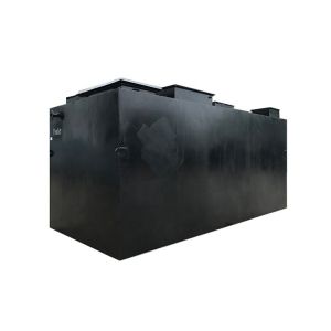 Energy Mining Sewage Treatment Equipment Intelligent MBR Device 2000L/Hour