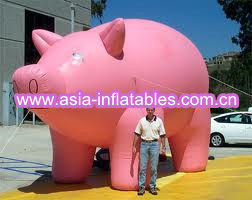 Quality Inflatable helium pig balloon for sale