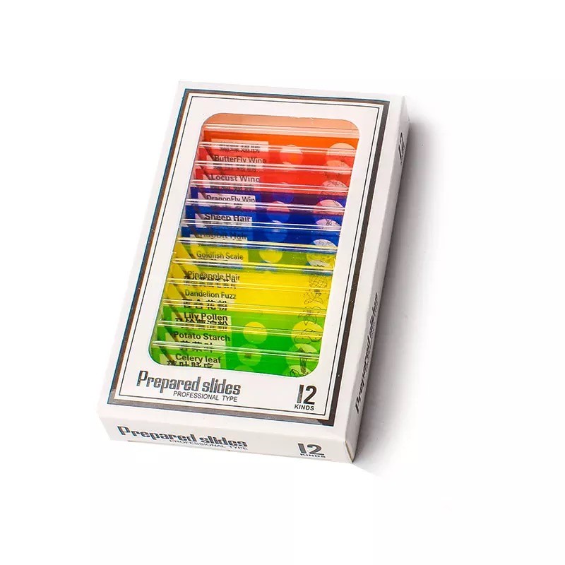 Children Education 12pcs Plastic Microscope Slides On Histology Science