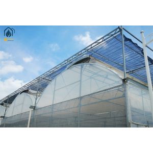 Custom Plastic Multi Span Greenhouse For Optimal Crop Growth And Efficiency