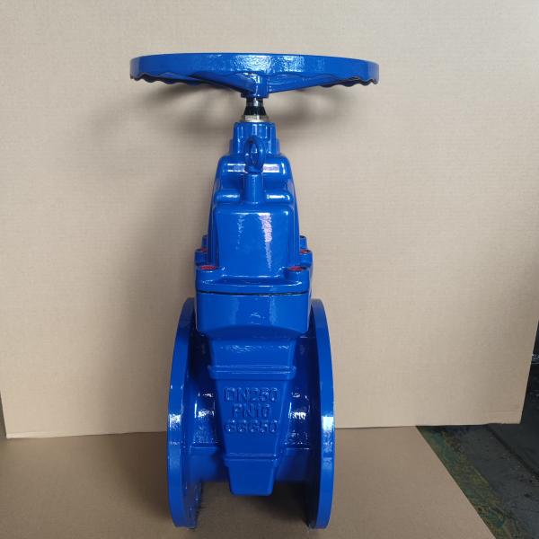 Buy Gate Valves DIN3352 F4 Cast Iron Resilient Seated Valve with 2Cr13 Trim at wholesale prices