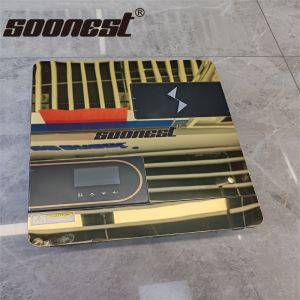 Quality Competitive Price Solar Inverter 12V 3000W Golden Supplier Solar