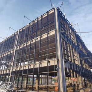 Prefab Q355 custom poultry farm steel structures