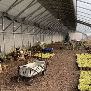 Plastic Sheet Flower Sunlight Greenhouse Drip Irrigation for Consistent