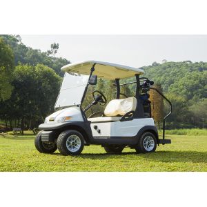 Excar Dual-Seat Electric Golf Cart 48V Lithium Battery