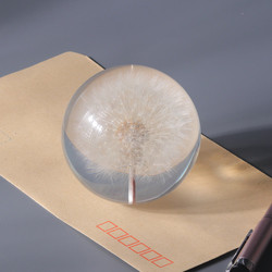 Fashion Crystal Ball Paperweight , Resin Dandelion Paperweight