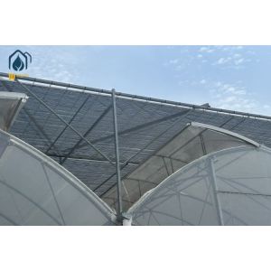 Transparent Multi Span Plastic Greenhouse For Maximum Crop Yield