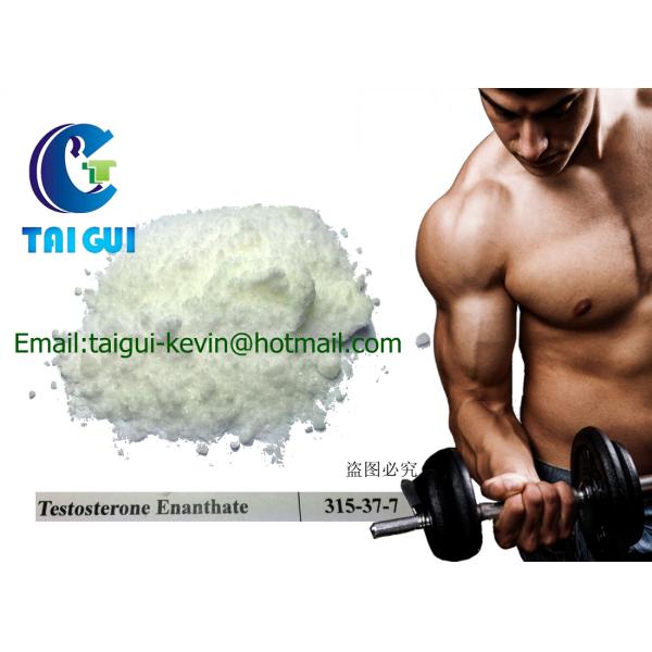 Safe Anabolic Testosterone Enanthate / Test Enan white crystalline powder CAS