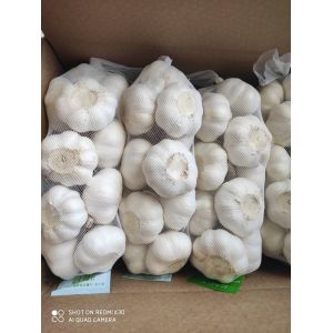 Natural China Fresh garlic Pure White normal white garlic