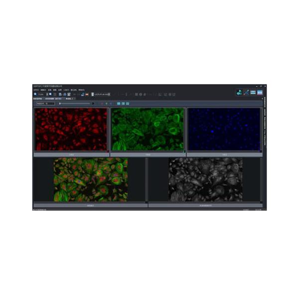 Opto Edu A16.0960 Research Level Inverted Fluorescent Microscope Motorized Nosepiece Condenser