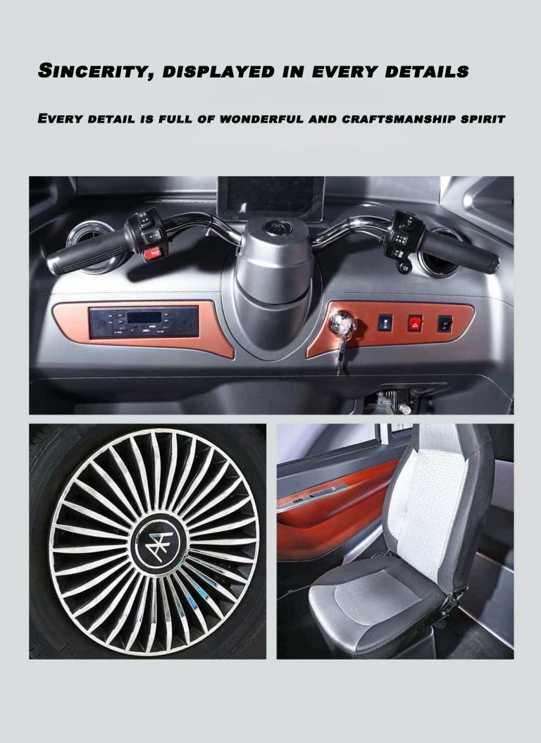 Hot Sell China Manufacture Electric Adult Raysince Mini Three Wheel Electric Car with EEC