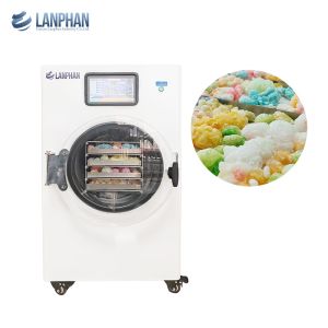 Vacuum Commercial Freeze Dryer Household Freeze Drying Machine For Vegetable