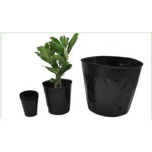 44cm Pumpkin Greenhouse Plastic Nursery Pot 10 Gallon Hydroponic Bowl