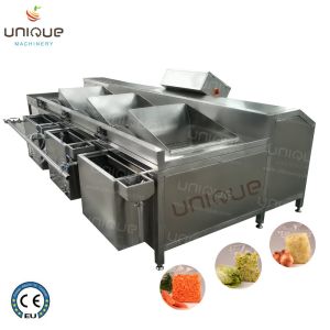 Directly Sells Fruit and Vegetable Washing Machine with Customized Voltage